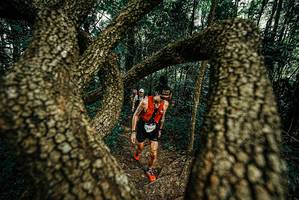 BIB: 
                            <button type="button" onclick="openModal(25668600)" class="btn btn-primary btn-sm float-right btn-popup" data-toggle="modal" data-target=".modal-high-quality">
                        <i class="fas fa-shopping-cart"></i> Add to Cart
                    </button>
                                            <button type="button" onclick="isThisMe(25668600, true)" class="btn btn-success btn-sm float-right btn-popup btn-isme hidden" data-toggle="tooltip" data-placement="bottom" title="นี่คือรูปของคุณใช่ไหม คลิกที่นี่เพื่อเอาเข้าอัลบั้ม">
                        <i class="fas fa-plus"></i> Add to album
                    </button>
                    <button type="button" onclick="isThisMe(25668600, false)" class="btn btn-warning btn-sm float-right btn-popup btn-isnotme hidden">
                        <i class="fas fa-ban"></i> Remove from album
                    </button>